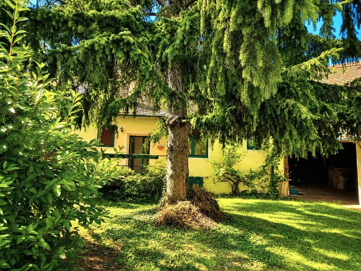 7-Zimmer-Immobilie kaufen in Hollabrunn – 144 m², € 350.000 – Bild 5 von 34