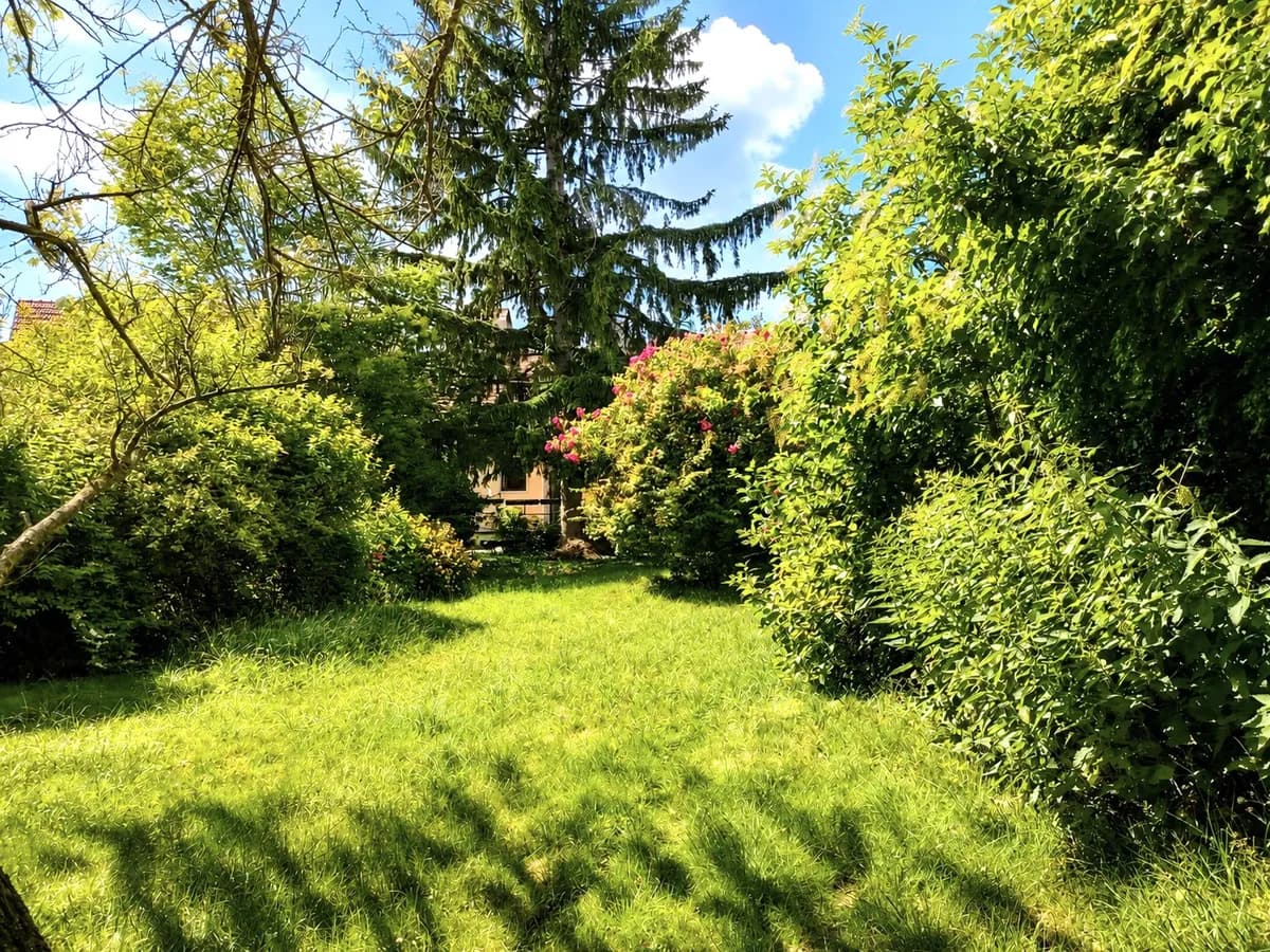 7-Zimmer-Immobilie kaufen in Hollabrunn – 144 m², € 350.000 – Bild 6 von 34
