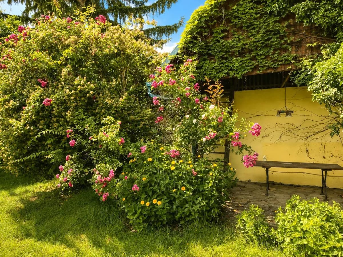 7-Zimmer-Immobilie kaufen in Hollabrunn – 144 m², € 350.000 – Bild 10 von 34