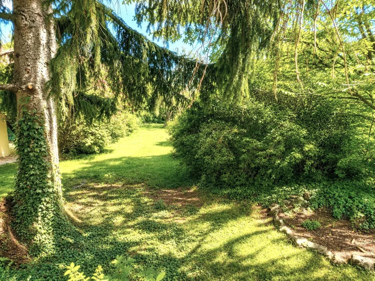 7-Zimmer-Immobilie kaufen in Hollabrunn – 144 m², € 350.000 – Bild 15 von 34