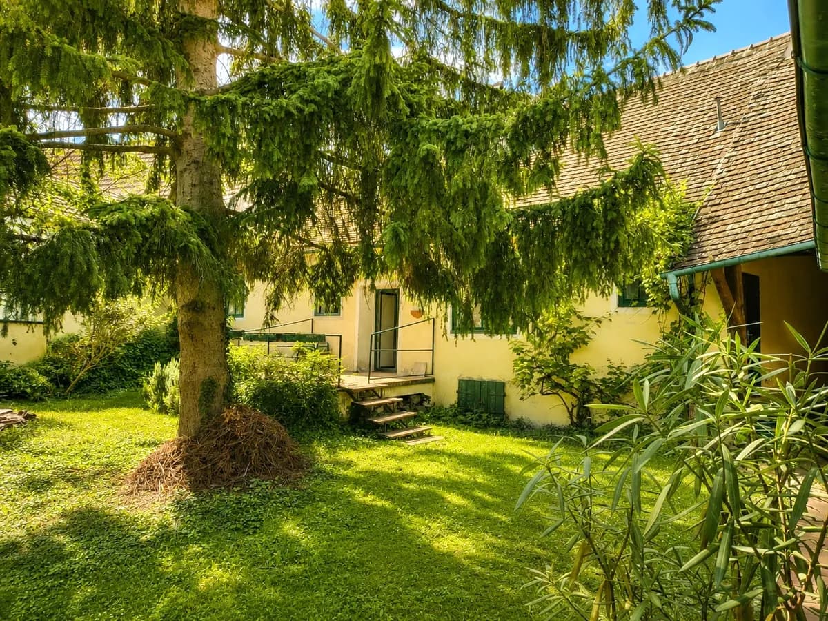 7-Zimmer-Immobilie kaufen in Hollabrunn – 144 m², € 350.000 – Bild 34 von 34