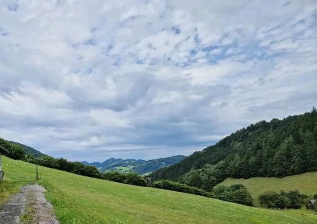 Grundstück kaufen in Sankt Pölten Land – 203 213 m² – Bild 2 von 6