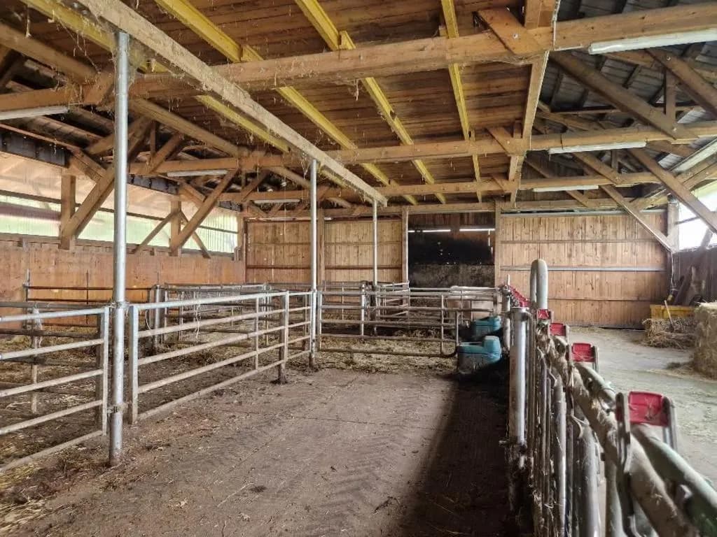 Grundstück kaufen in Sankt Pölten Land – 203 213 m² – Bild 4 von 6
