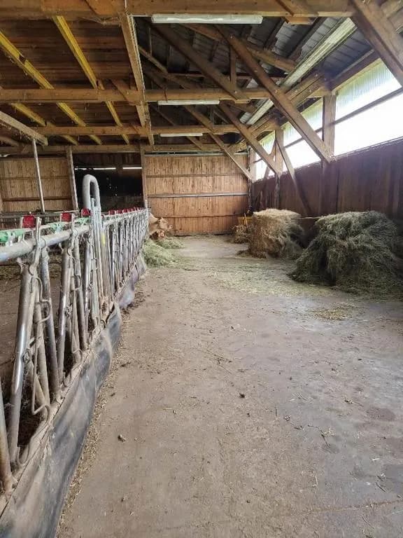Grundstück kaufen in Sankt Pölten Land – 203 213 m² – Bild 5 von 6
