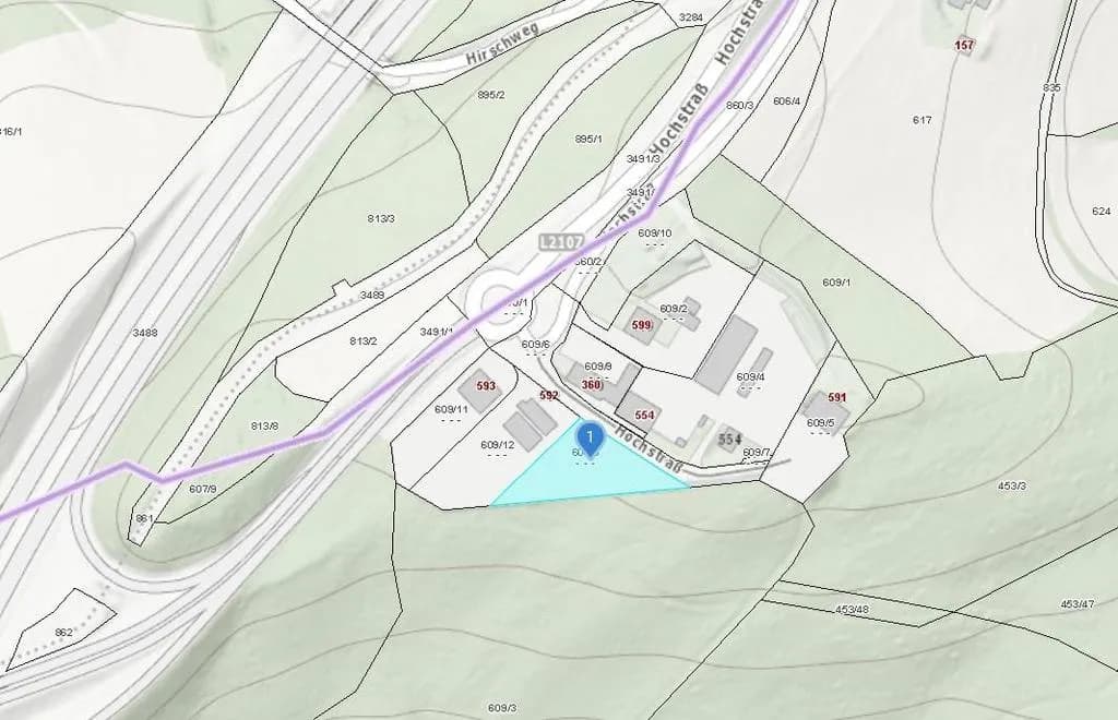 Immobilie mieten in Baden – 2 241 m², € 2.500 – Bild 3 von 4