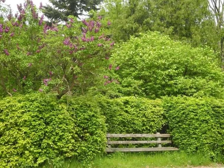 2-Zimmer-Wohnung mieten in Gmunden – 50 m², € 480 – Bild 2 von 14