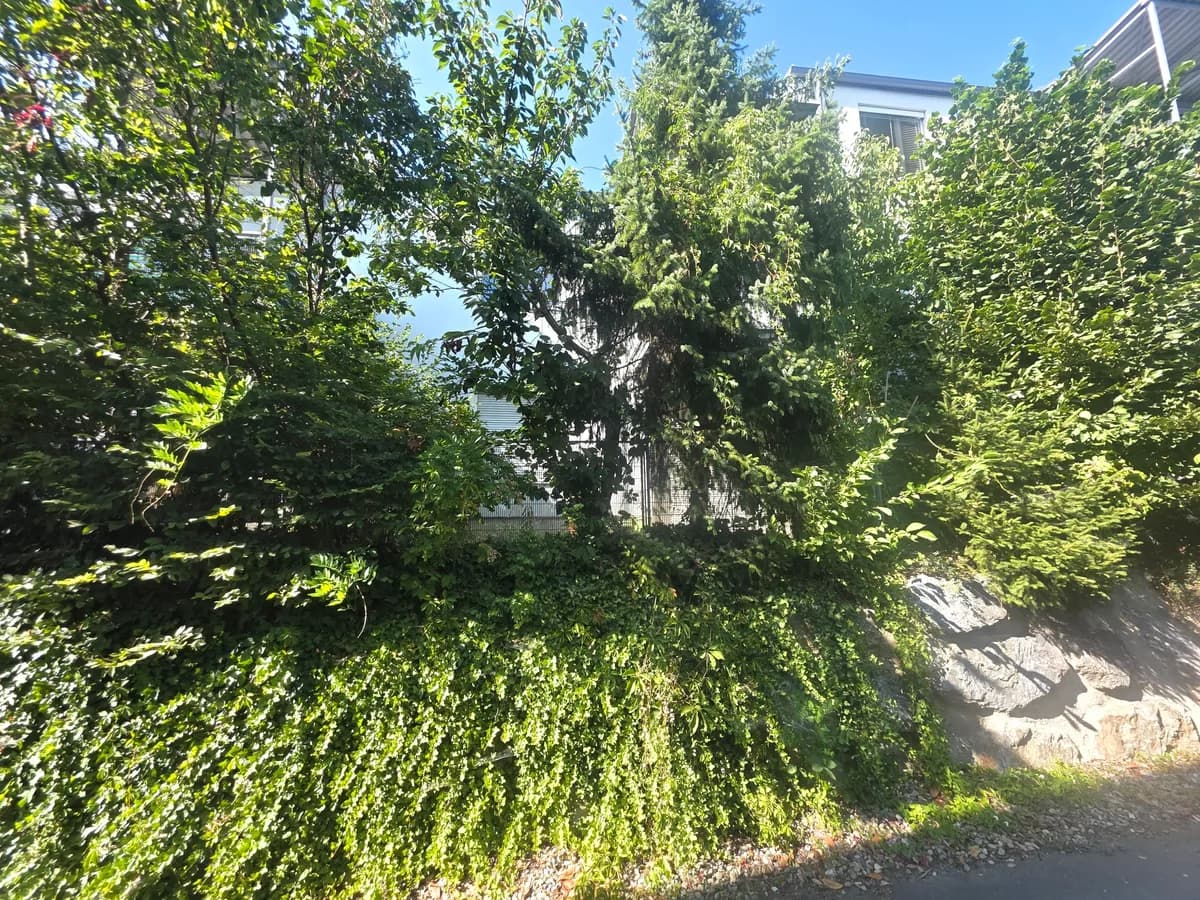 2-Zimmer-Wohnung mieten in Österreich – 60 m², € 812 – Bild 14 von 17