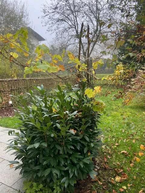 2-Zimmer-Wohnung mieten in Vöcklabruck – 59 m², € 880 – Bild 14 von 16