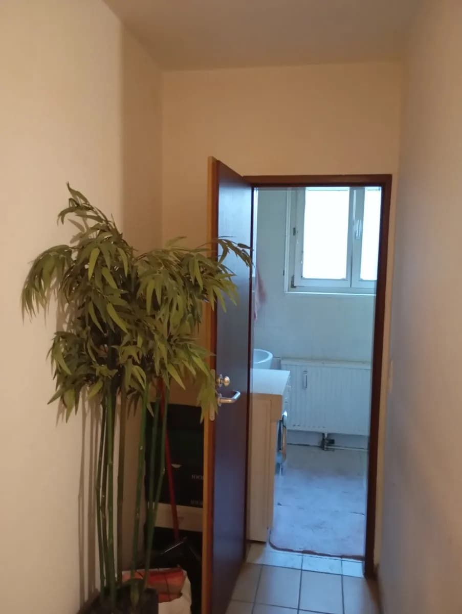 2-Zimmer-Wohnung mieten in Wien – 50 m², € 530 – Bild 16 von 27