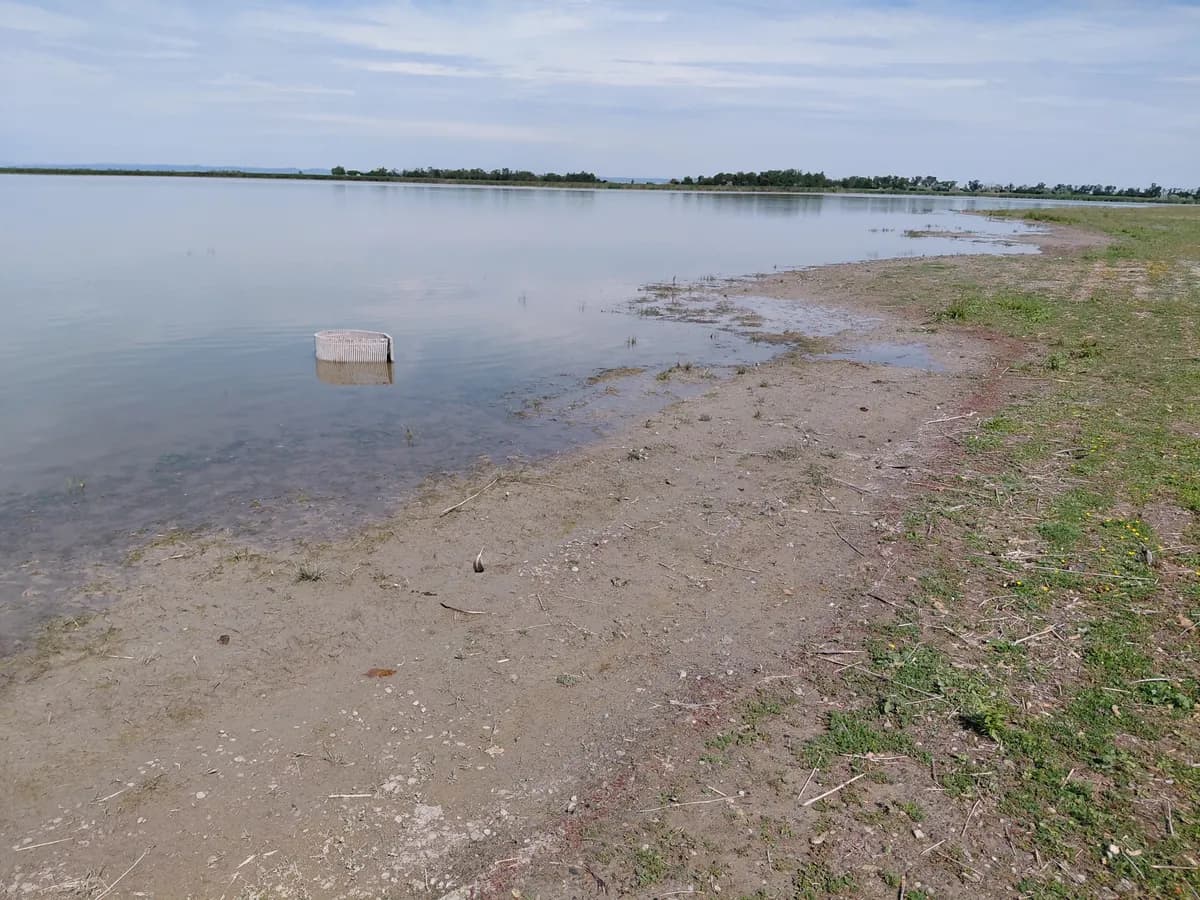 2-Zimmer-Immobilie kaufen in Neusiedl am See – 15 m², € 2.000 – Bild 15 von 18