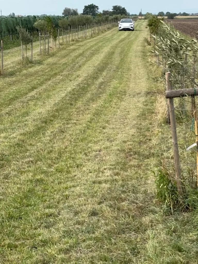 Grundstück kaufen in Neusiedl am See – 7 992 m², € 45.000 – Bild 7 von 13