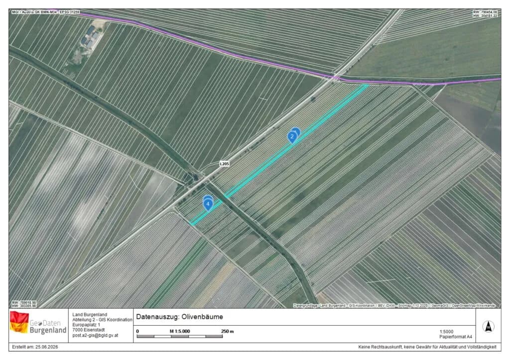 Grundstück kaufen in Neusiedl am See – 7 992 m², € 45.000 – Bild 12 von 13