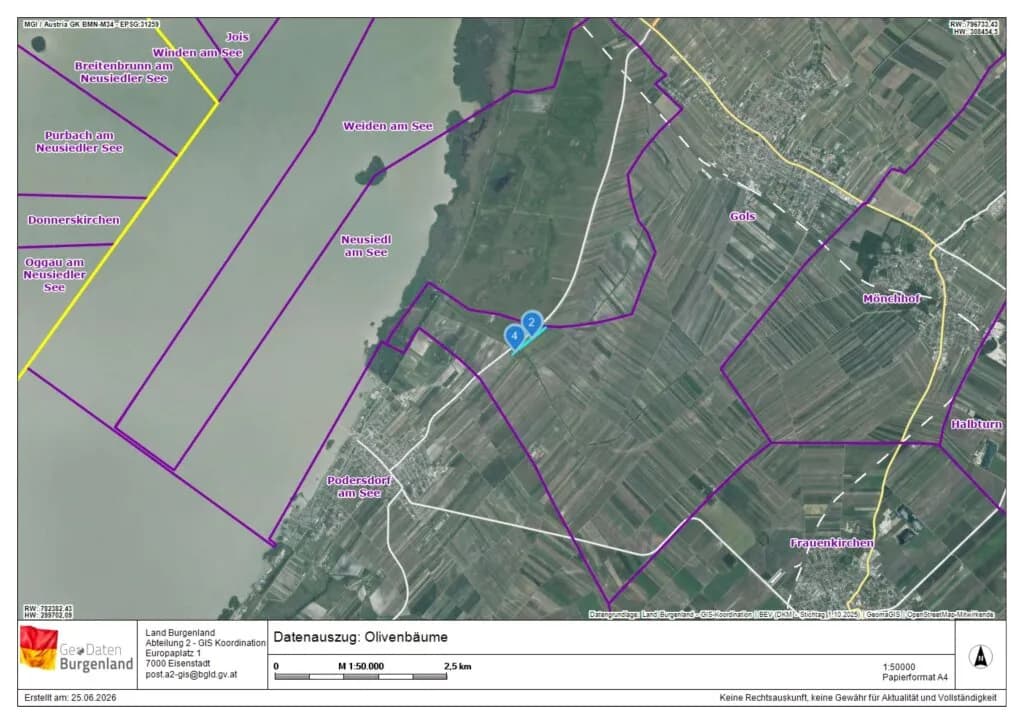 Grundstück kaufen in Neusiedl am See – 7 992 m², € 45.000 – Bild 13 von 13
