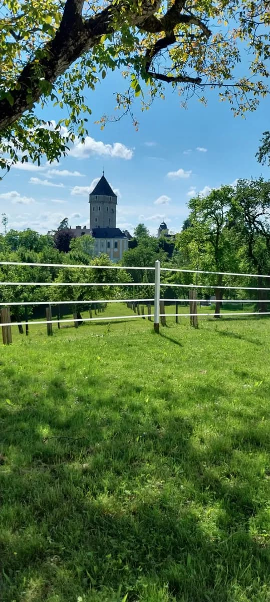 2-Zimmer-Wohnung mieten in Rohrbach – 50 m², € 490