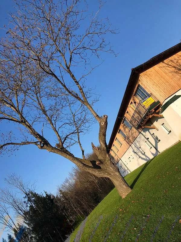 1-Zimmer-Wohnung mieten in Amstetten – 40 m², € 665 – Bild 12 von 14