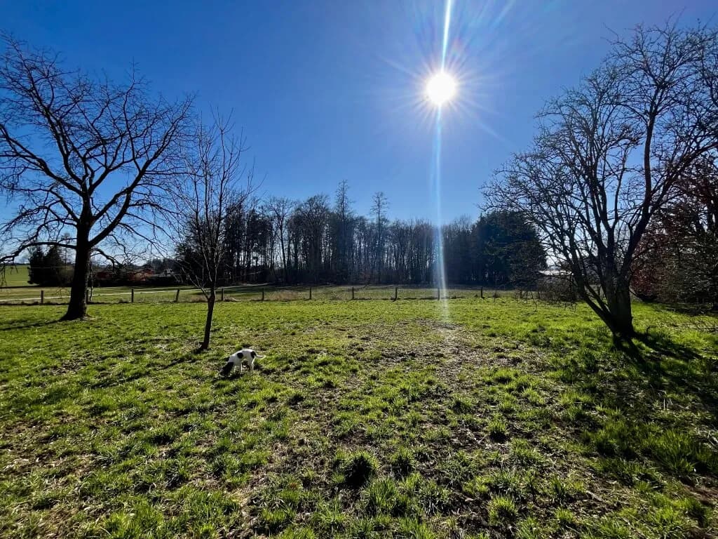 Grundstück kaufen in Braunau am Inn – 683 m², € 159.000 – Bild 6 von 9