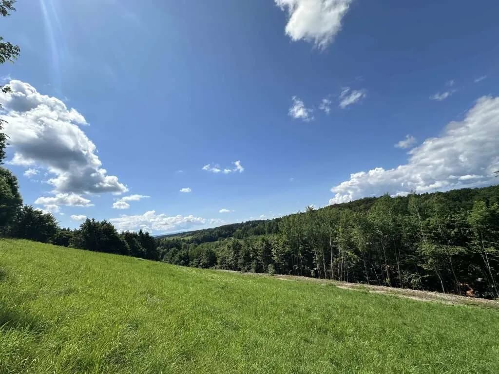 Gewerbeimmobilie kaufen in Deutschlandsberg – 1 751 m², € 199.000 – Bild 6 von 11