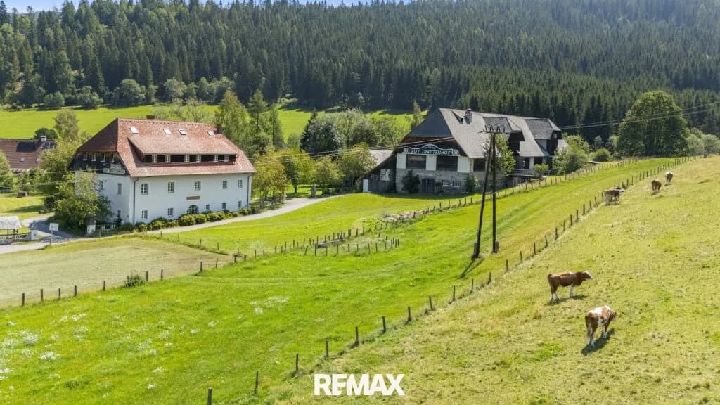 29-Zimmer-Immobilie kaufen in Murau – 984 m², € 1.950.000 – Bild 3 von 38