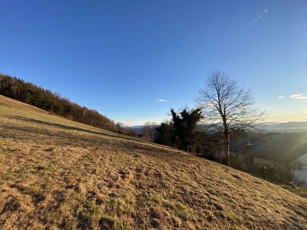 Grundstück kaufen in Leibnitz – 13 192 m², € 980.000 – Bild 4 von 27