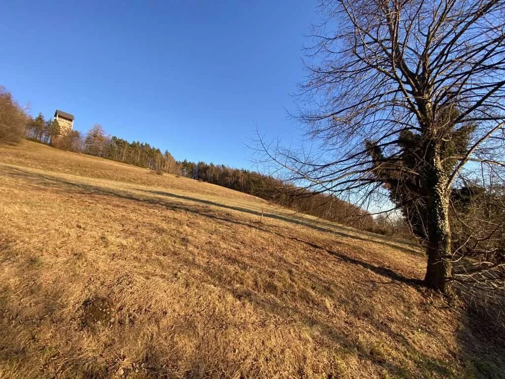 Grundstück kaufen in Leibnitz – 13 192 m², € 980.000 – Bild 25 von 27