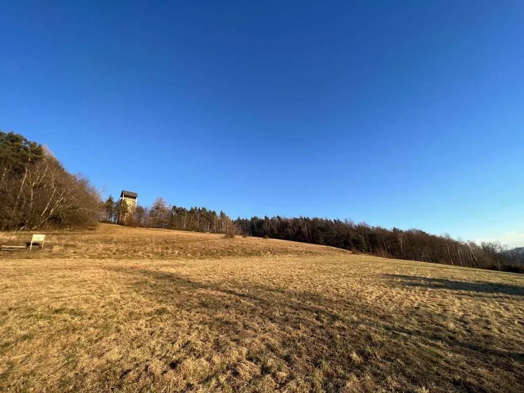 Grundstück kaufen in Leibnitz – 13 192 m², € 980.000 – Bild 27 von 27
