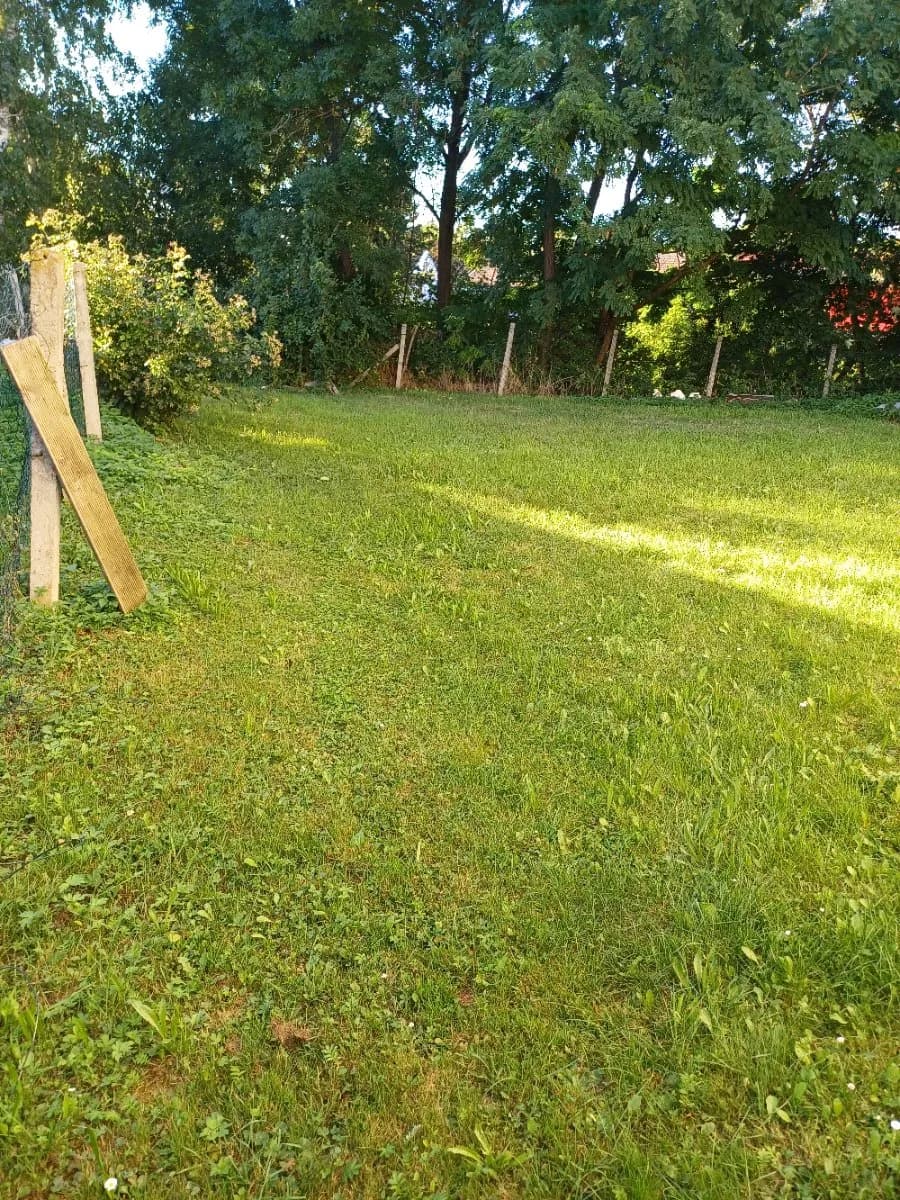3-Zimmer-Haus kaufen in Hollabrunn – 90 m², € 81.000 – Bild 11 von 12