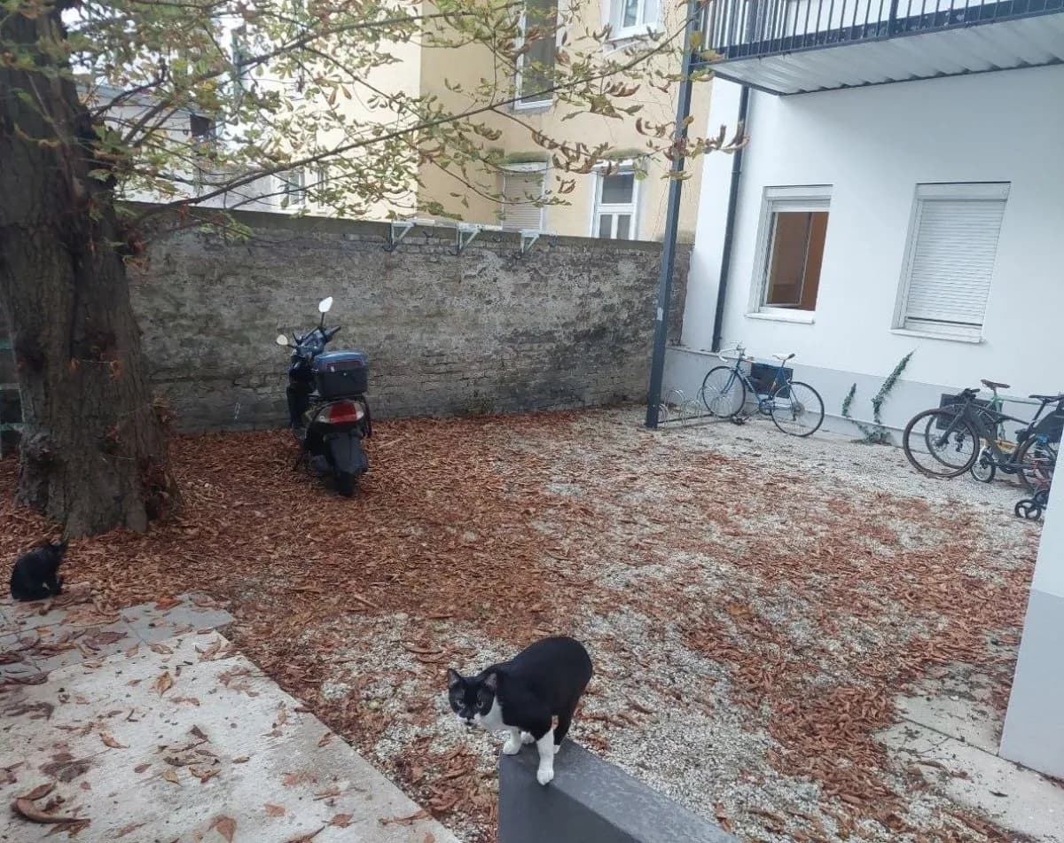 2-Zimmer-Wohnung kaufen in Wien – 39 m², € 250.000 – Bild 3 von 14