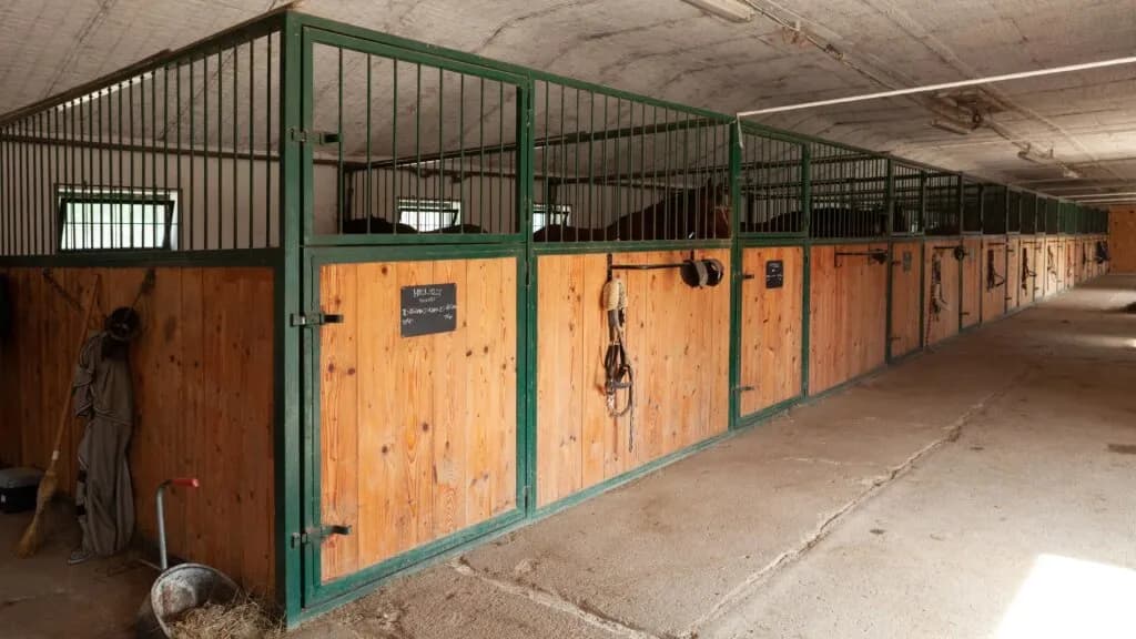 10-Zimmer-Immobilie kaufen in Neusiedl am See – 300 m², € 1.490.000 – Bild 22 von 37
