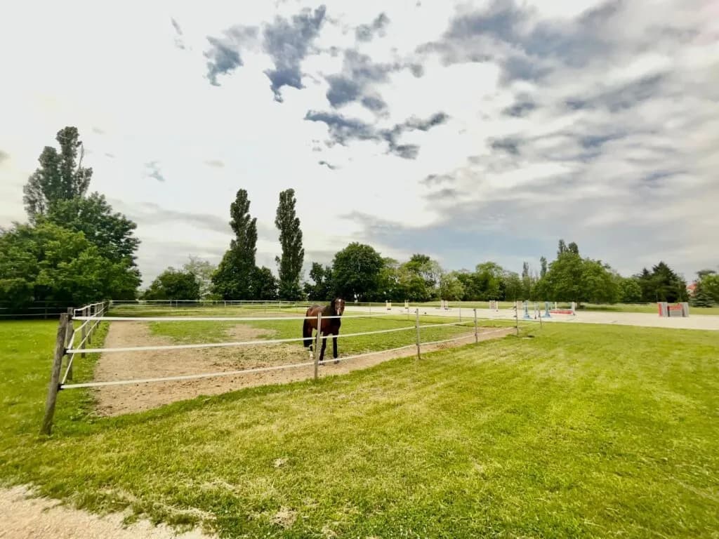 10-Zimmer-Immobilie kaufen in Neusiedl am See – 300 m², € 1.490.000 – Bild 24 von 37
