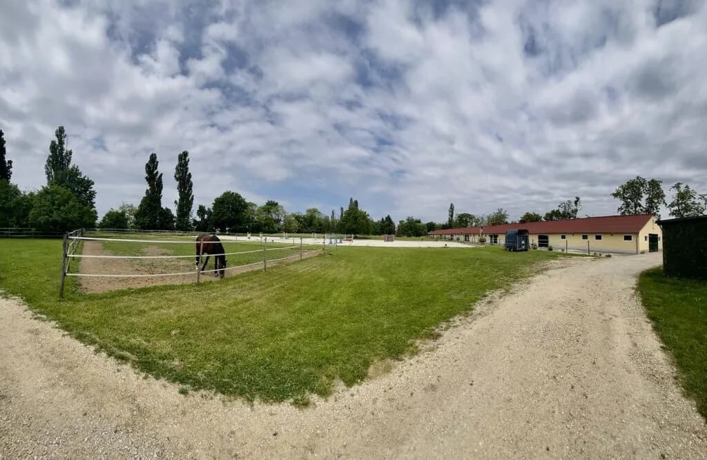 10-Zimmer-Immobilie kaufen in Neusiedl am See – 300 m², € 1.490.000 – Bild 25 von 37