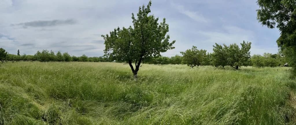 10-Zimmer-Immobilie kaufen in Neusiedl am See – 300 m², € 1.490.000 – Bild 28 von 37