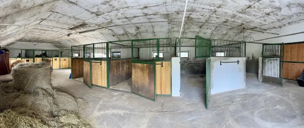 10-Zimmer-Immobilie kaufen in Neusiedl am See – 300 m², € 1.490.000 – Bild 34 von 37