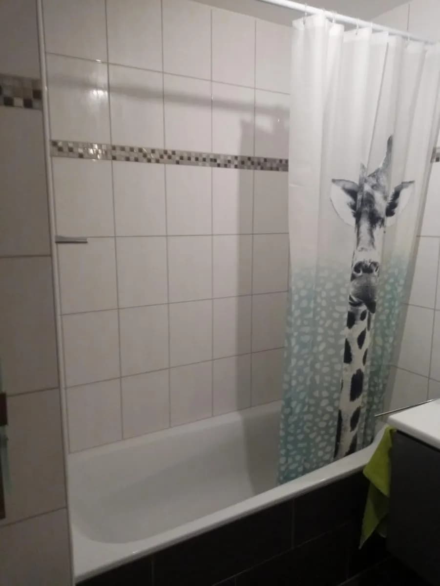 3-Zimmer-Wohnung mieten in Scheibbs – 76 m², € 740 – Bild 3 von 4