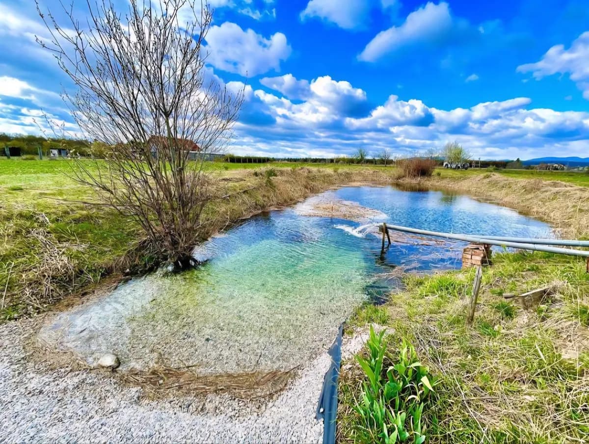 Grundstück mieten in Wiener Neustadt Land – 1 000 m², € 150 – Bild 2 von 7