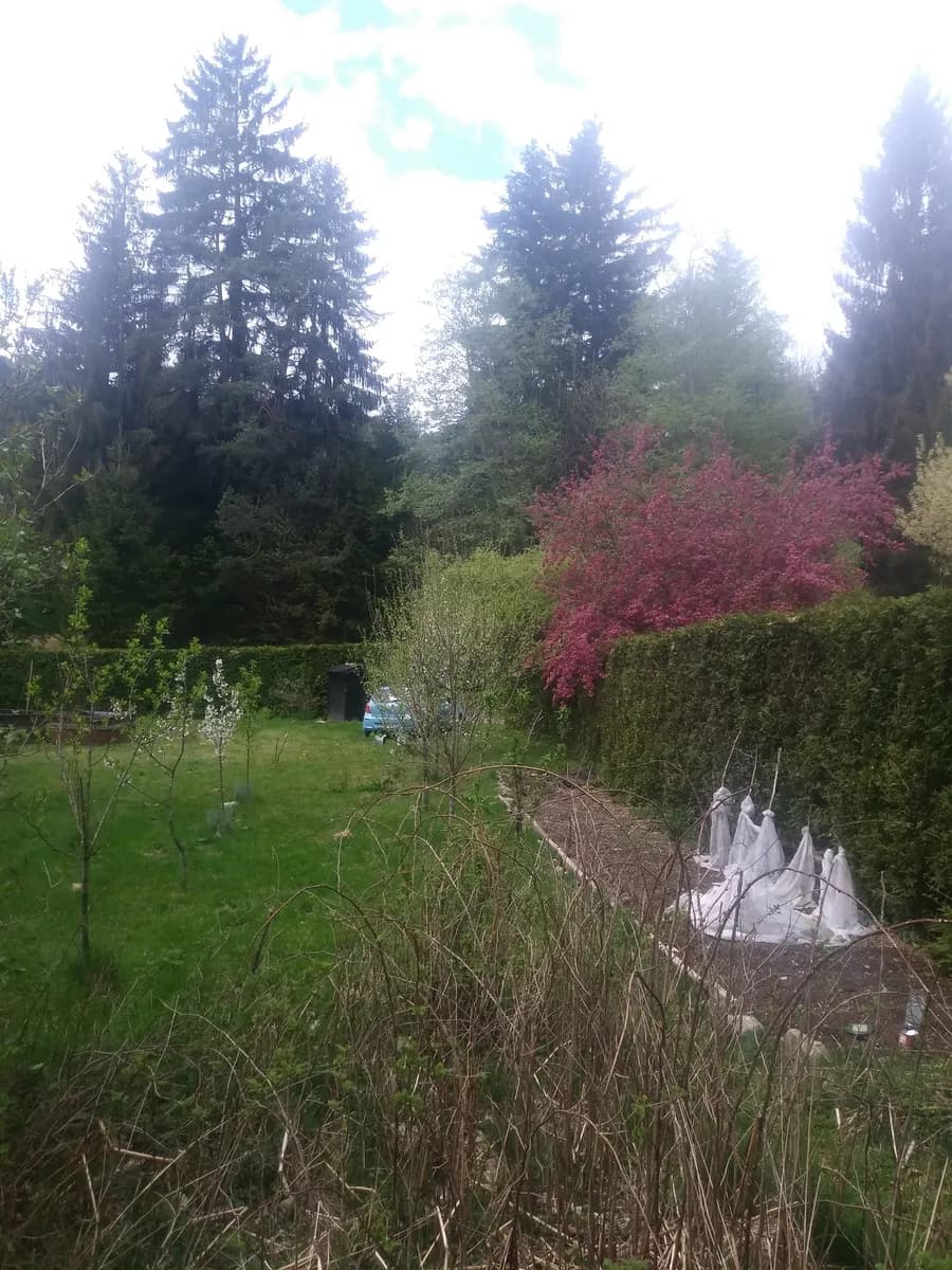 Grundstück kaufen in Wiener Neustadt Land – 919 m², € 59.767 – Bild 2 von 8