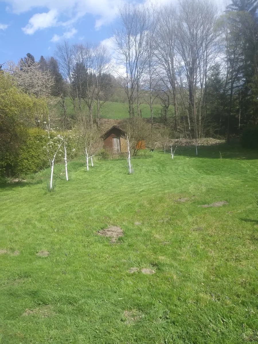 Grundstück kaufen in Wiener Neustadt Land – 919 m², € 59.767 – Bild 7 von 8