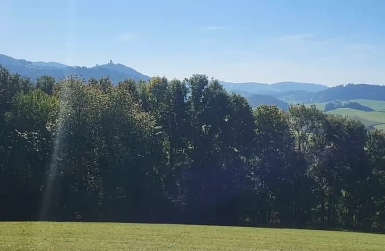 6-Zimmer-Haus kaufen in Rohrbach – 136 m², € 373.000 – Bild 3 von 33
