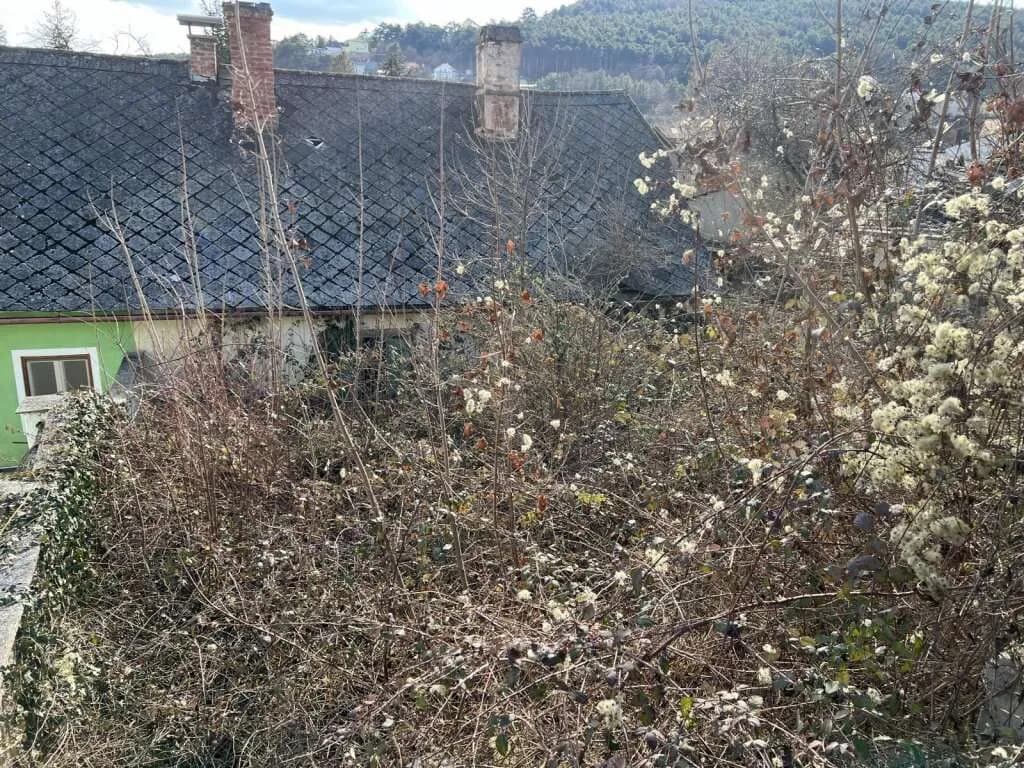 Grundstück kaufen in Wiener Neustadt Land – 447 m², € 130.000 – Bild 2 von 5