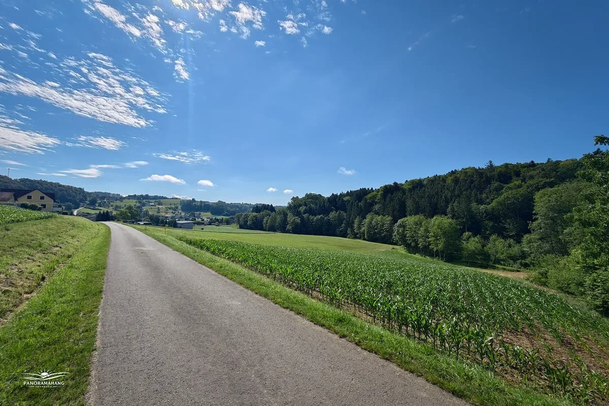 Grundstück kaufen in Südoststeiermark – 801 m², € 67.000