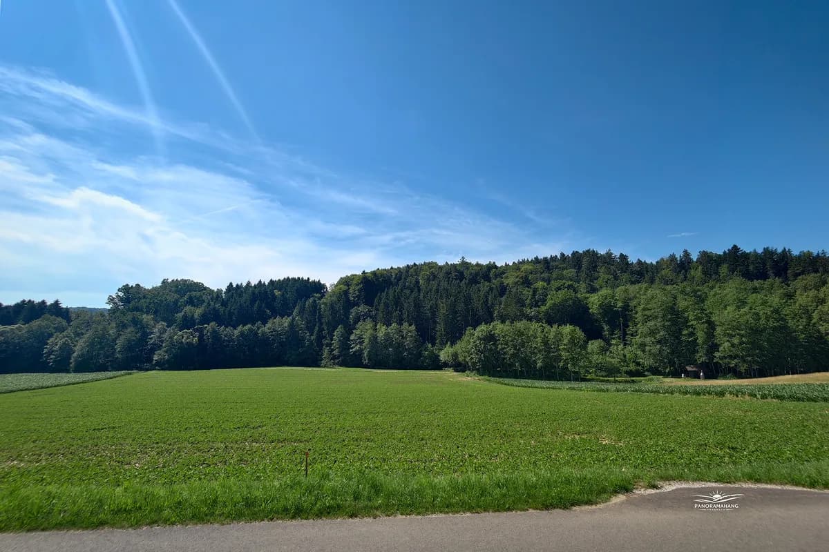 Grundstück kaufen in Südoststeiermark – 801 m², € 67.000 – Bild 3 von 8