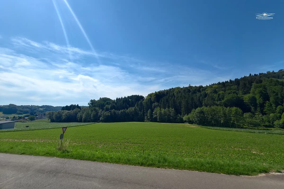 Grundstück kaufen in Südoststeiermark – 801 m², € 67.000 – Bild 4 von 8
