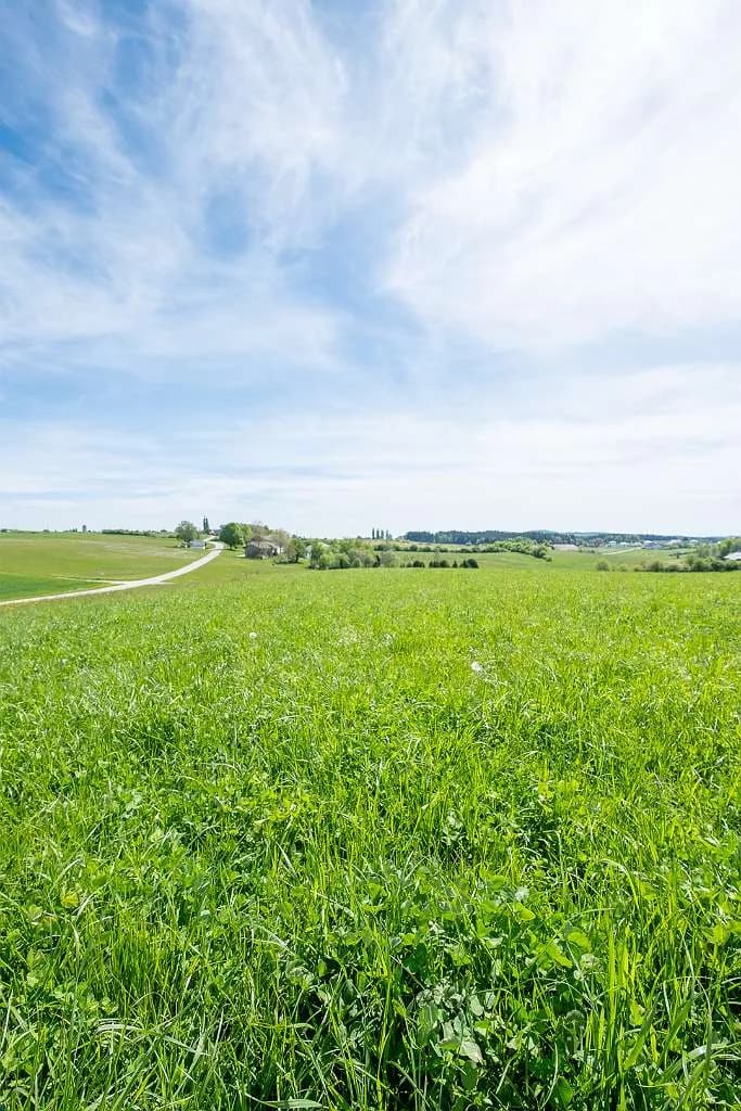 Haus kaufen in Schärding – 143 m², € 529.000 – Bild 15 von 15