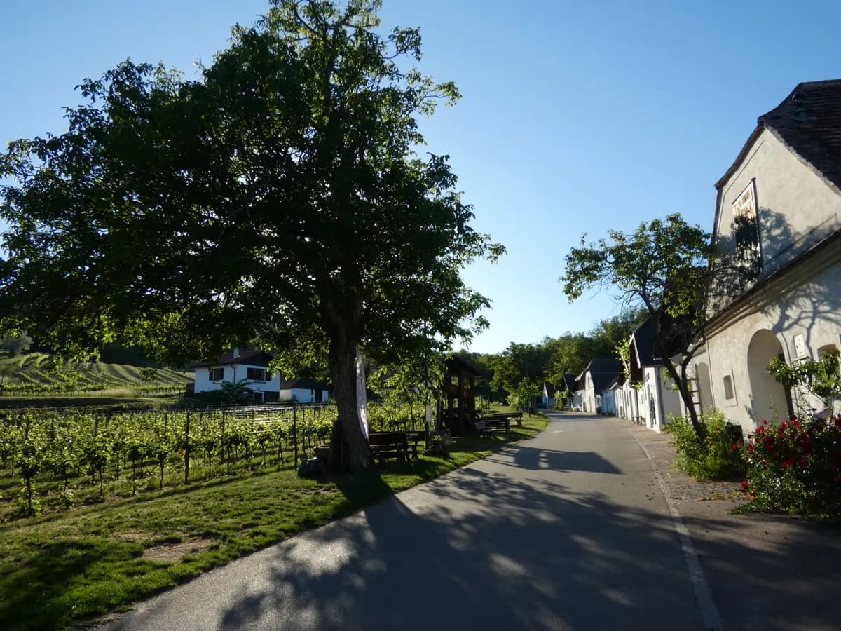 5-Zimmer-Haus kaufen in Hollabrunn – 124 m², € 130.000 – Bild 6 von 41