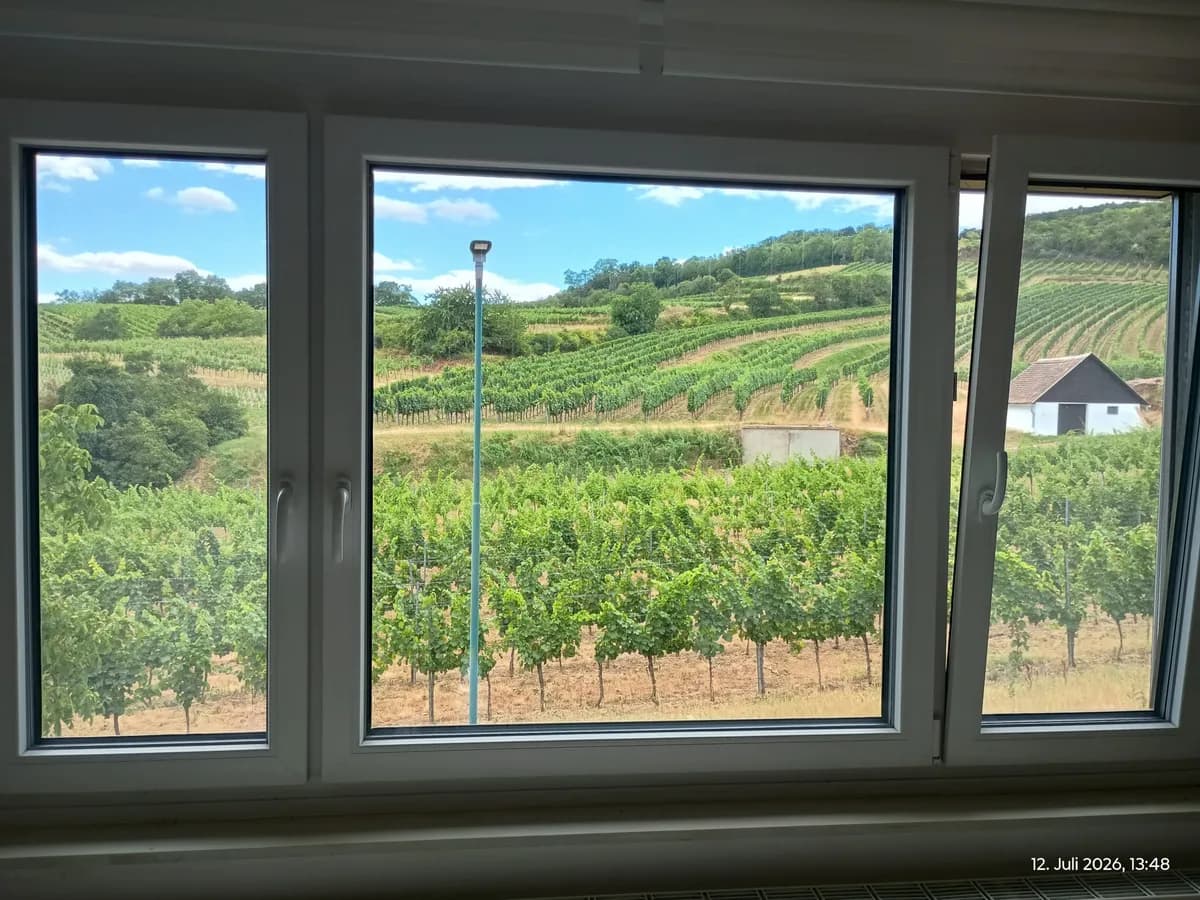 5-Zimmer-Haus kaufen in Hollabrunn – 124 m², € 130.000 – Bild 15 von 41