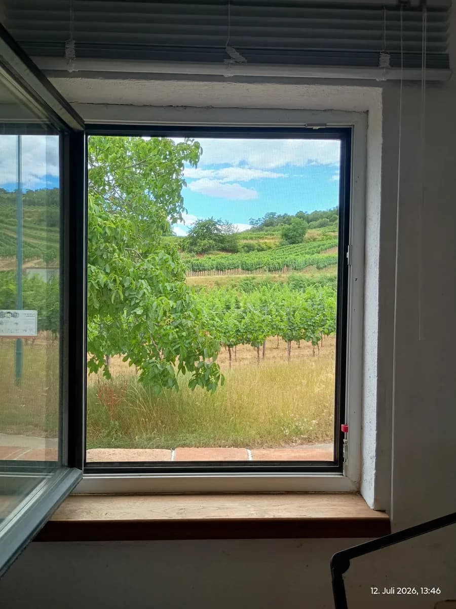 5-Zimmer-Haus kaufen in Hollabrunn – 124 m², € 130.000 – Bild 34 von 41