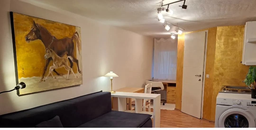 Wohnung mieten in Urfahr-Umgebung – 22 m², € 380
