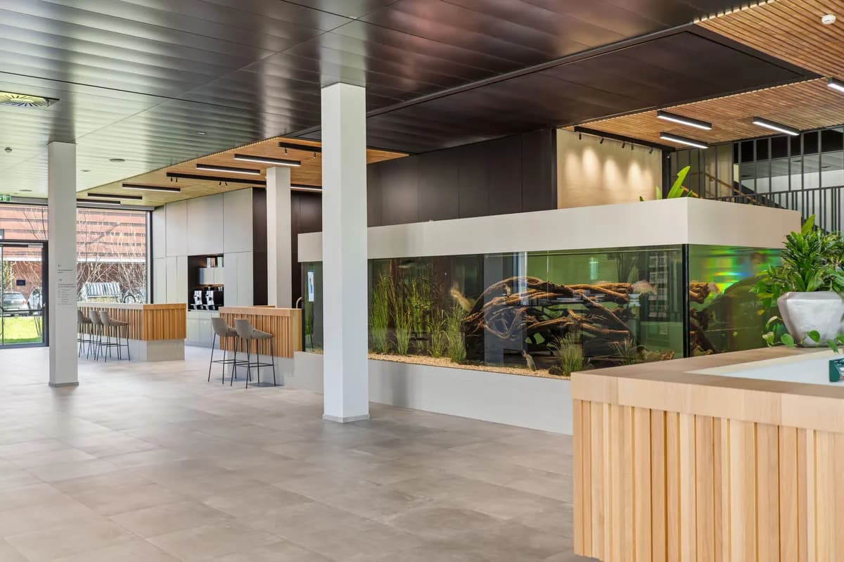 3-Zimmer-Gewerbeimmobilie mieten in Dornbirn – 480 m² – Bild 3 von 31