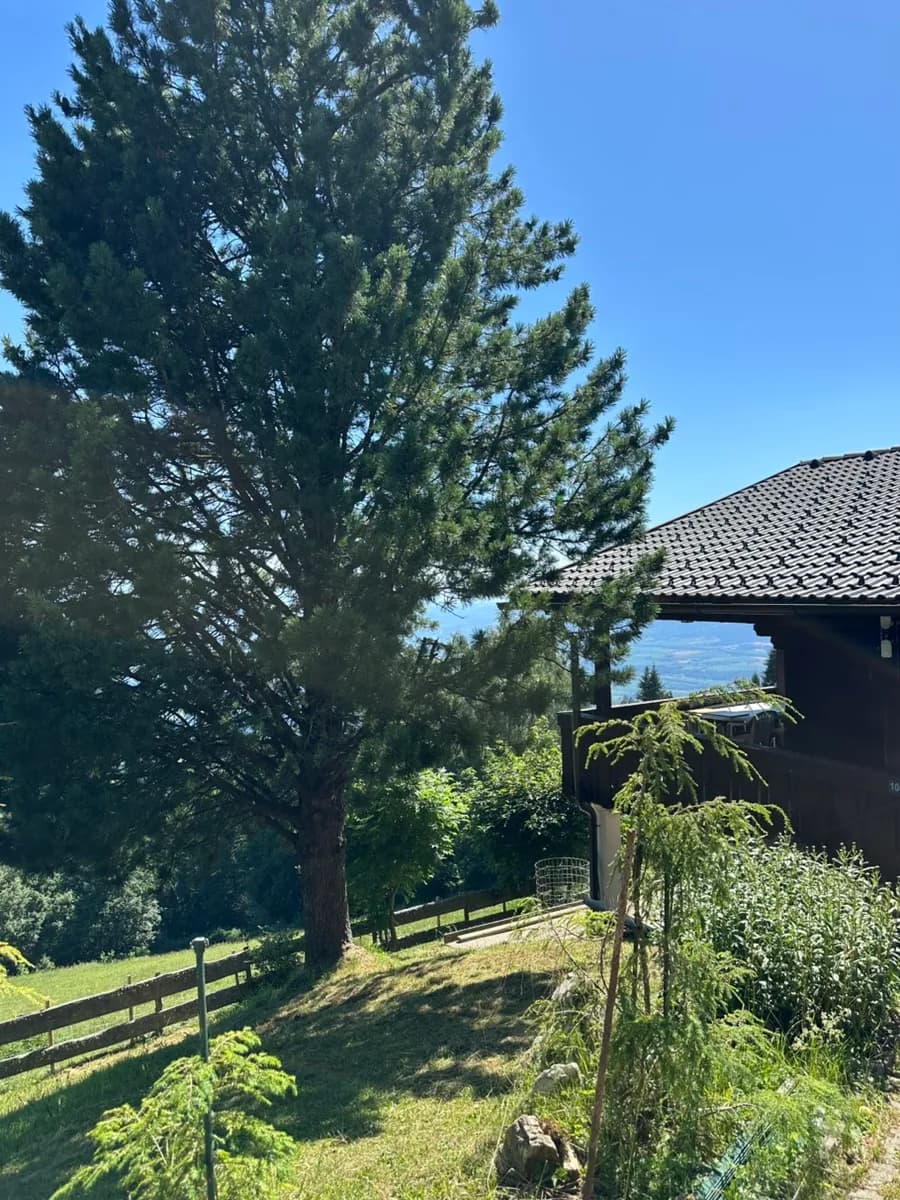 3-Zimmer-Wohnung mieten in Wolfsberg – 58 m², € 700
