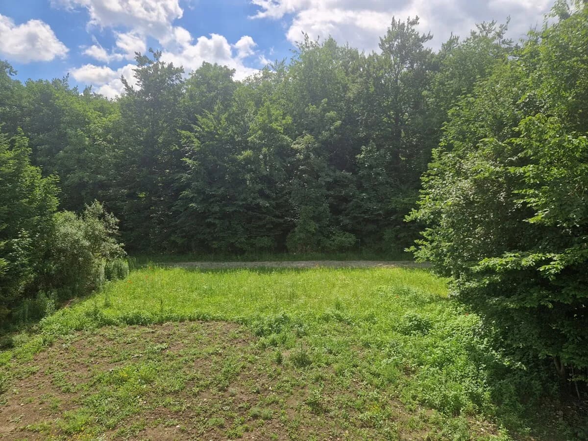 3-Zimmer-Wohnung mieten in Steyr – 88 m², € 1.579
