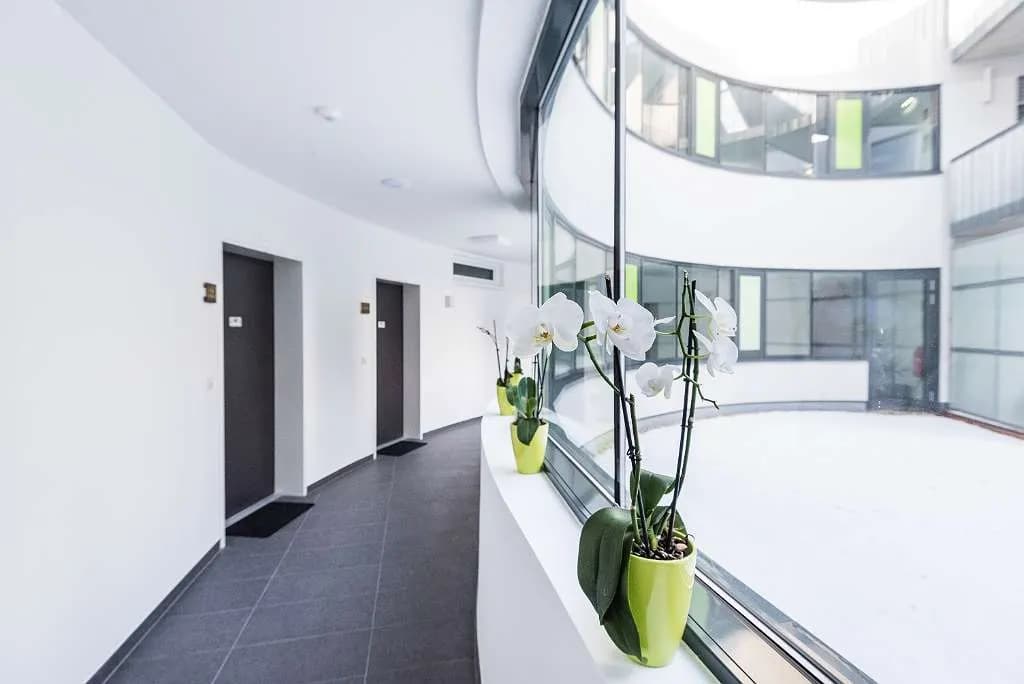 2-Zimmer-Wohnung mieten in Südoststeiermark – 67 m², € 866 – Bild 10 von 15